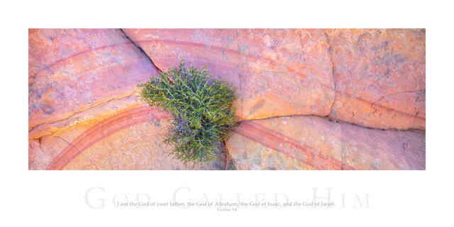 God Called Him print