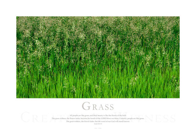 Grass print
