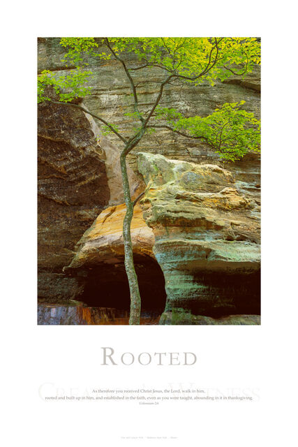 Rooted print