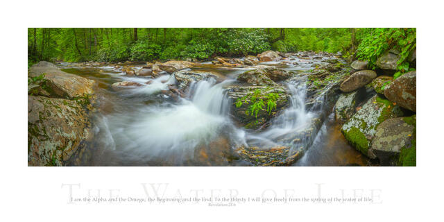 The Water of Life print