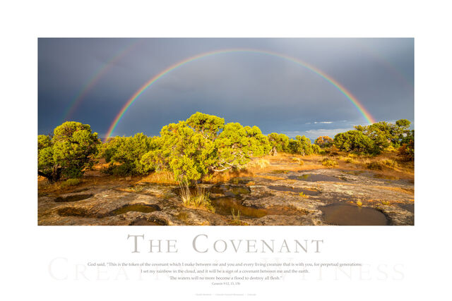 The Covenant print
