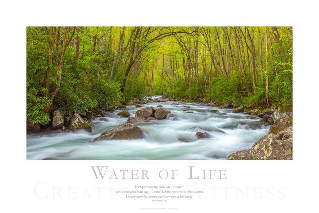 Water of Life print